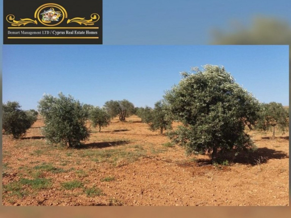 41,146m2 Land For Sale Location Near Sinirustu Iskele (5minutes drive to long beach)(Turkish Title Deeds) North Cyprus KKTC TRNC