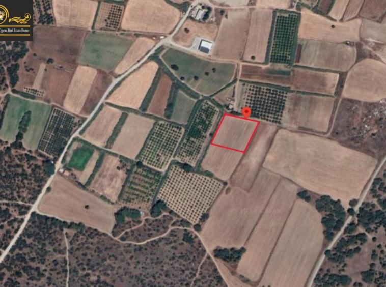 10300m2 Land For Sale Location Akdeniz Girne North Cyprus KKTC TRNC