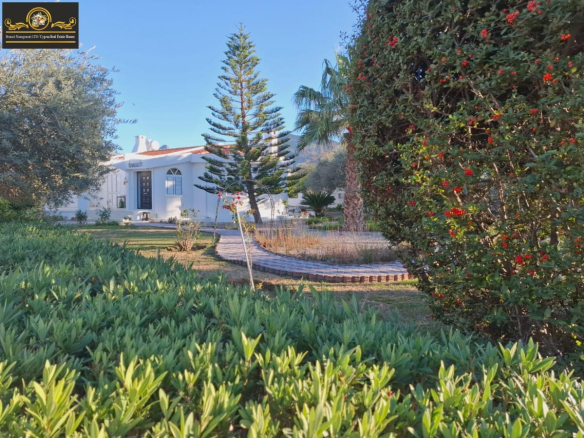 Nice 4 Bedroom Villa For Rent Location Ozankoy Girne North Cyprus KKTC TRNC